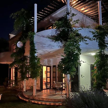 Green Villa In Olives بار المظهر الخارجي الصورة