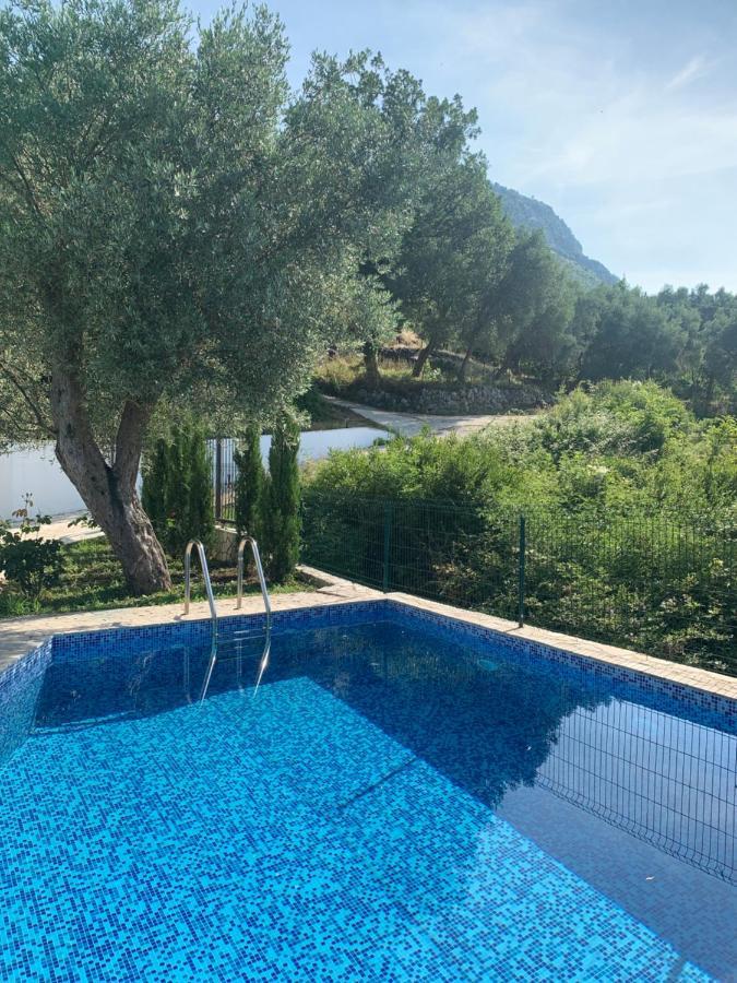 Green Villa In Olives بار المظهر الخارجي الصورة