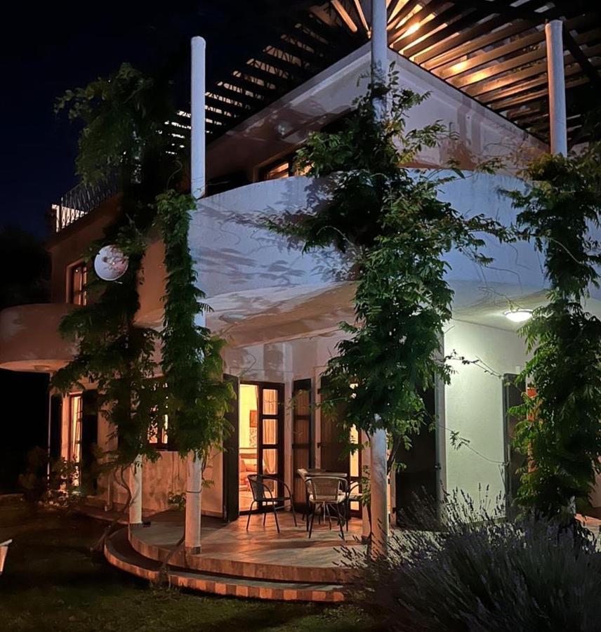 Green Villa In Olives بار المظهر الخارجي الصورة