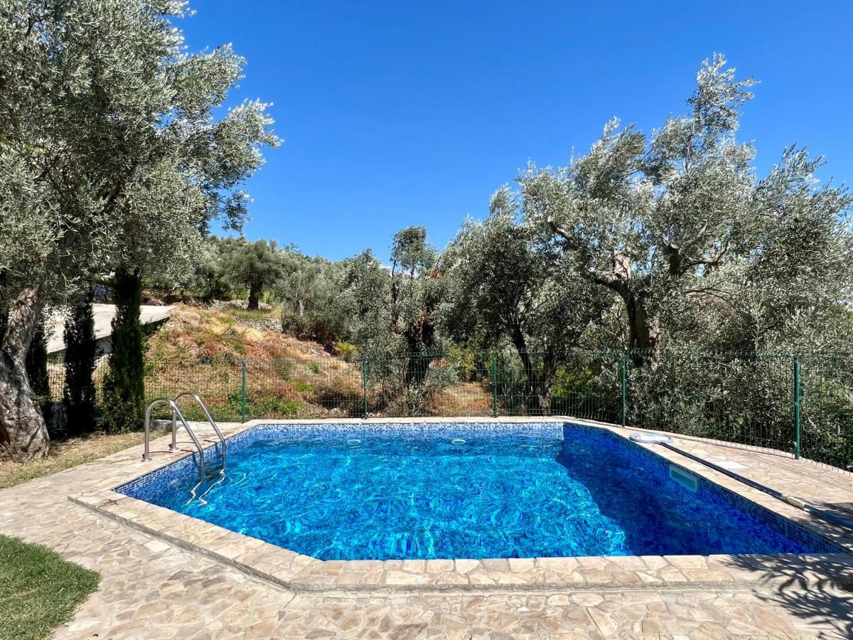 Green Villa In Olives بار المظهر الخارجي الصورة