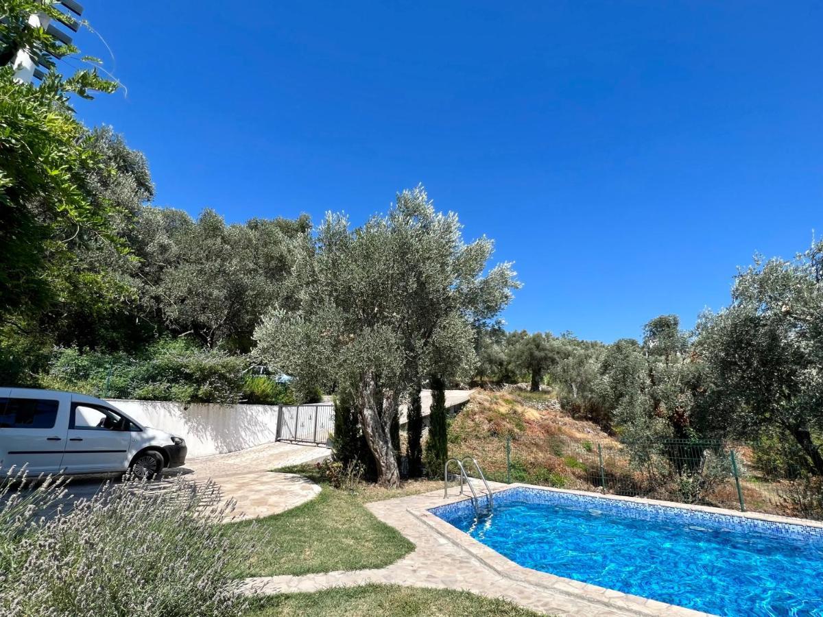 Green Villa In Olives بار المظهر الخارجي الصورة