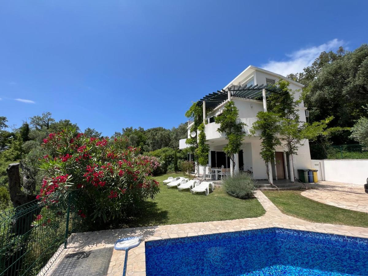Green Villa In Olives بار المظهر الخارجي الصورة