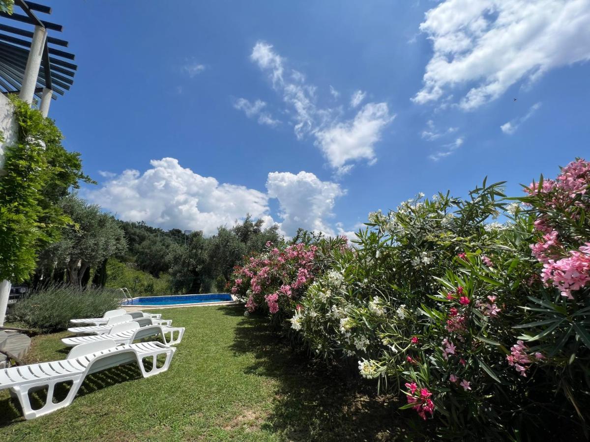 Green Villa In Olives بار المظهر الخارجي الصورة