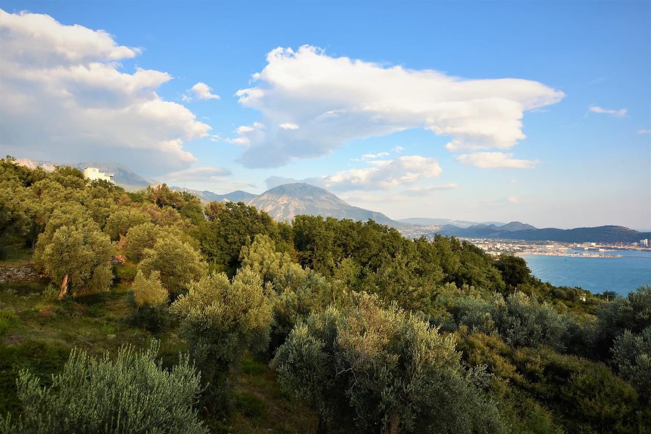 Green Villa In Olives بار المظهر الخارجي الصورة